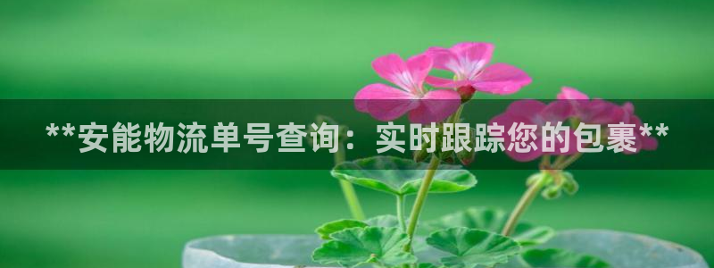 28圈加拿大6.0：**安能物流单号
