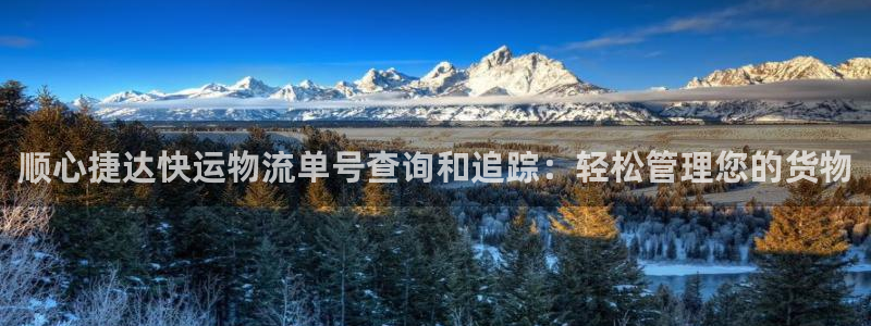 28圈官网预测：顺心捷达快运物流单号