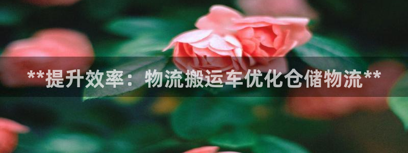 28圈如何看012路计划