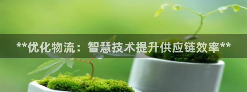 28圈加拿大app预测