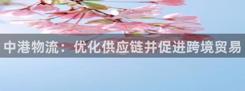 28圈注册网站多少钱：中港物流：优化