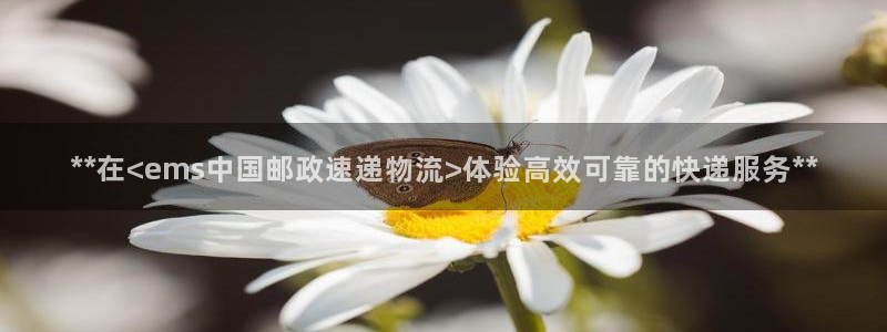 28圈初始资金密码是什么