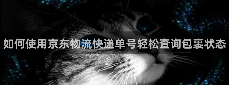 28圈加拿大6.0