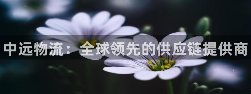 28圈注册网站多少钱一个：中远物流：