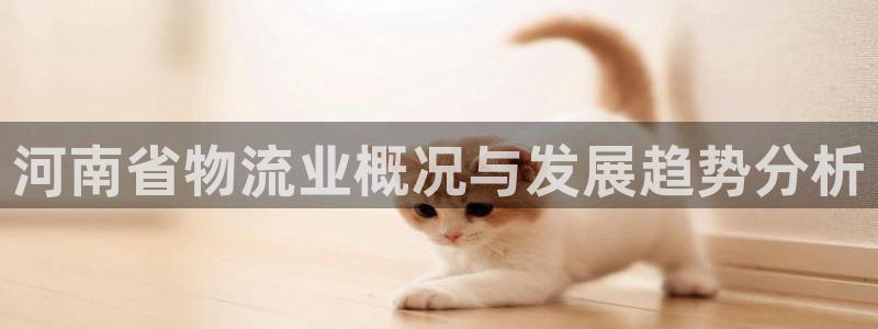 自行车28圈是什么意思