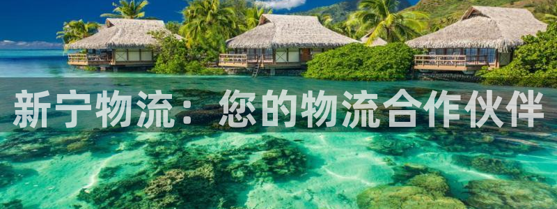 28圈下载链接是多少：新宁物流：您的