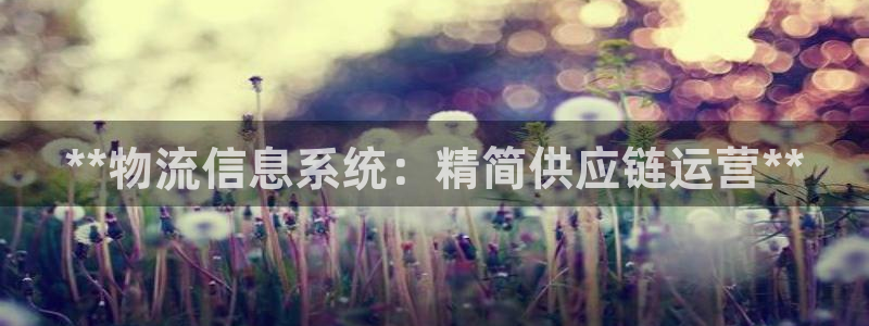 28圈账号注册：**物流信息系统：精