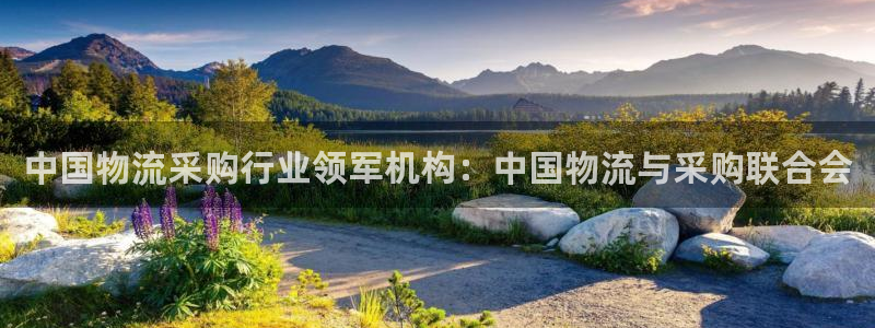 28圈加拿大6.0