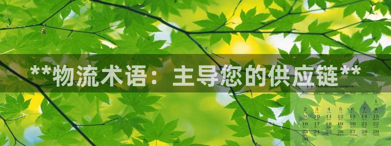 28圈可靠吗：**物流术语：主导您的