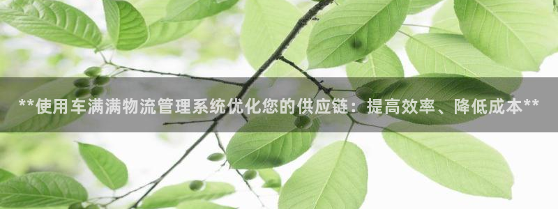 28圈百度百科