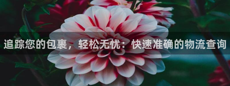 28圈口戒指是多大