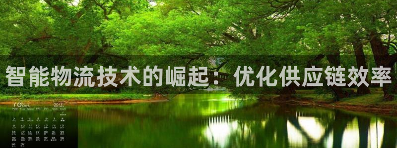 28圈技巧：智能物流技术的崛起：优化
