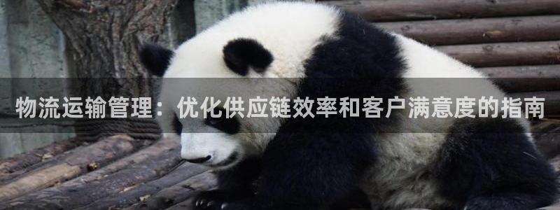 28圈登录：物流运输管理：优化供应链