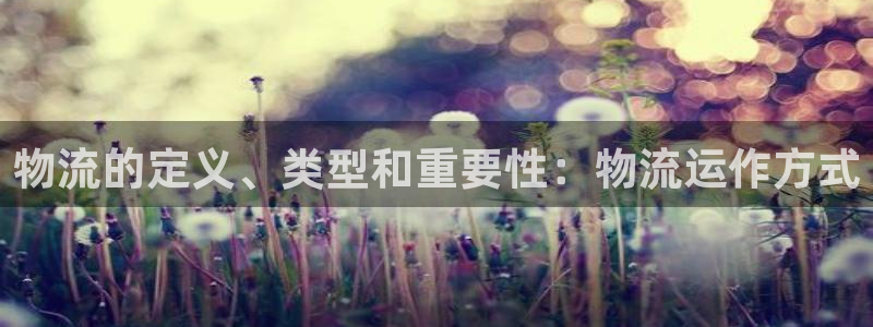 28圈注册上限是啥意思：物流的定义、