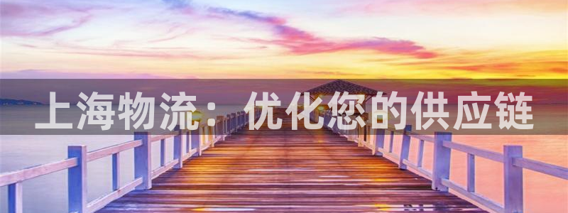 28圈注册网站加拿大：上海物流：优化