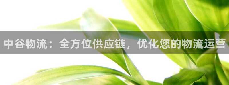 28圈官网多少：中谷物流：全方位供应