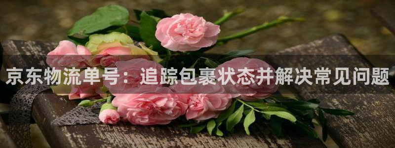 28圈入口问一问