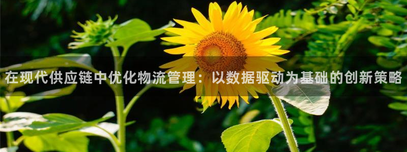28圈账号注册：在现代供应链中优化物