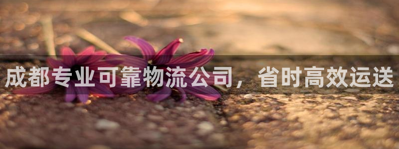 28圈人工客服电话是什么：成都专业可
