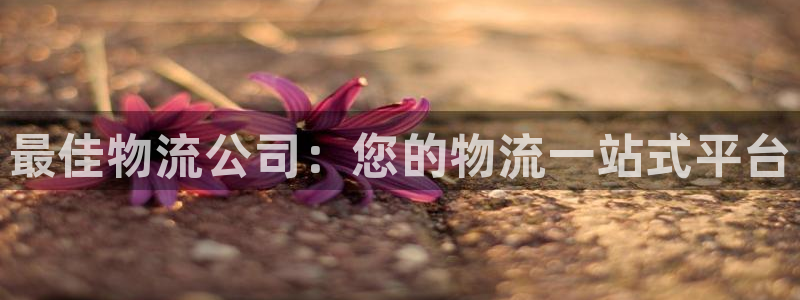28圈是什么软件