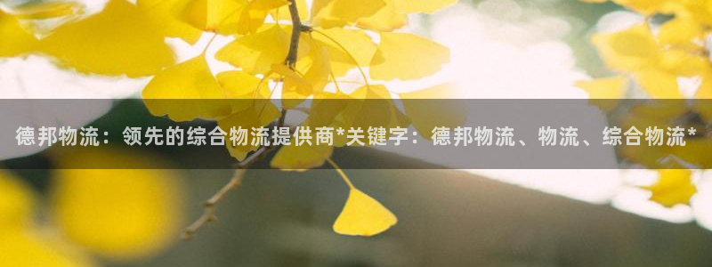 28圈注册号：德邦物流：领先的综合物