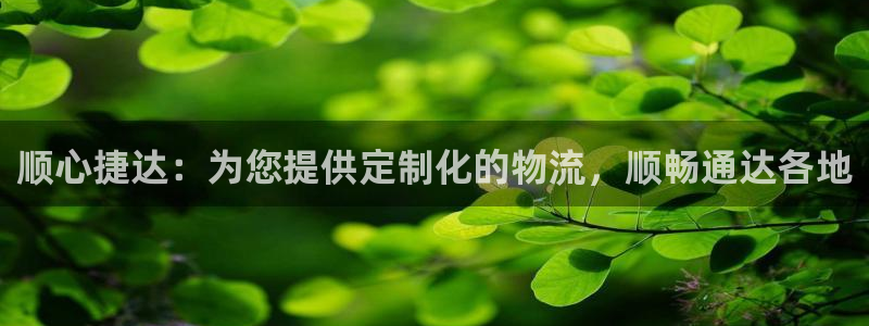 28圈的平台：顺心捷达：为您提供定制