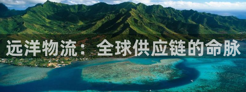 28圈app官网少林足球