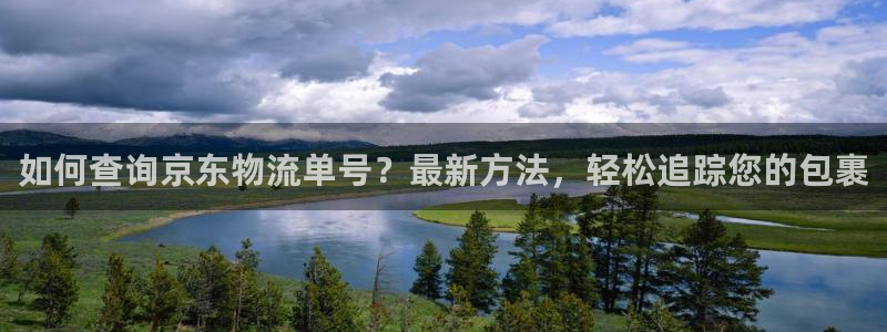 28圈二维码