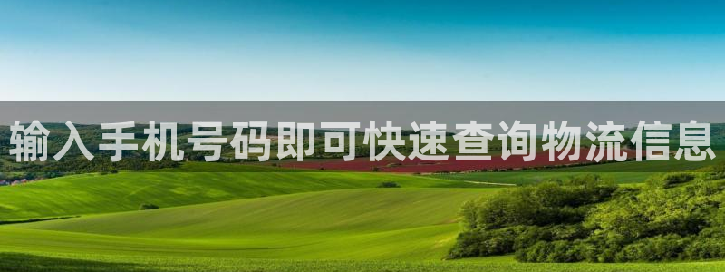28圈开奖预测