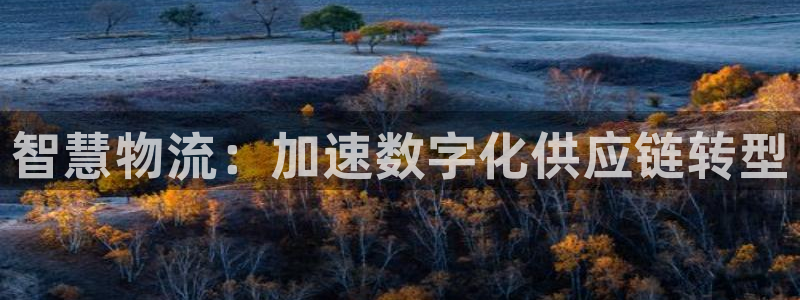28圈.ccmpcios：智慧物流：