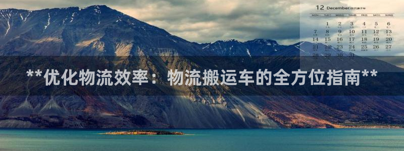 28圈注册二维码：**优化物流效率：
