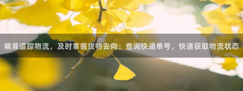 28圈软件：精准追踪物流，及时掌握货