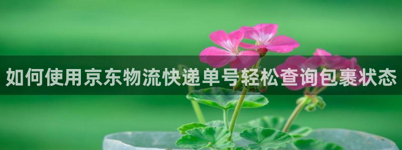 28圈旗下：如何使用京东物流快递单号