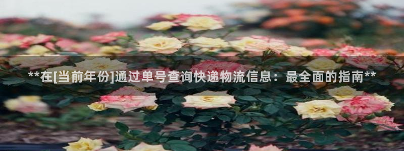 28圈网站平台