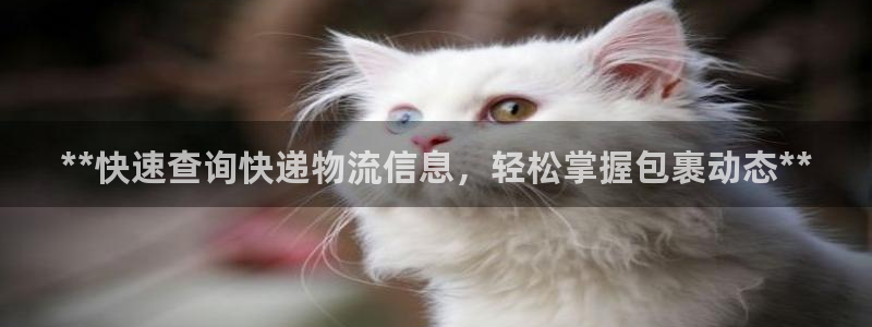 28圈充值不到账什么原因：**快速查