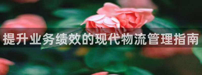 28圈注册链接入口：提升业务绩效的现