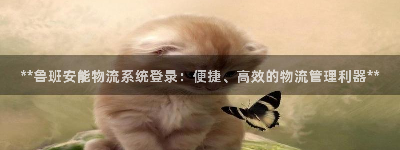 28圈注册网站APP：**鲁班安能物