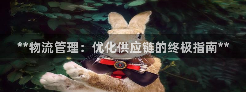 28圈软件堵什么反什么