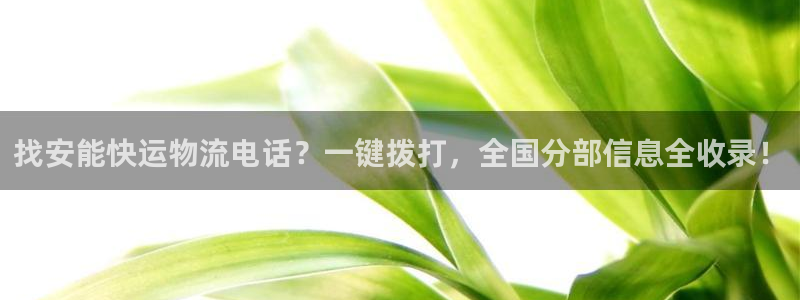 28圈注册用户名是什么：找安能快运物