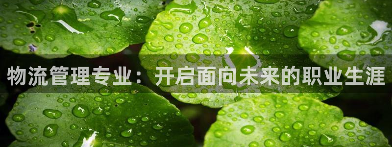 28圈如何注销账号