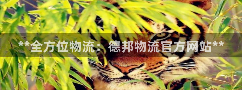28圈官网开奖结果预测查询