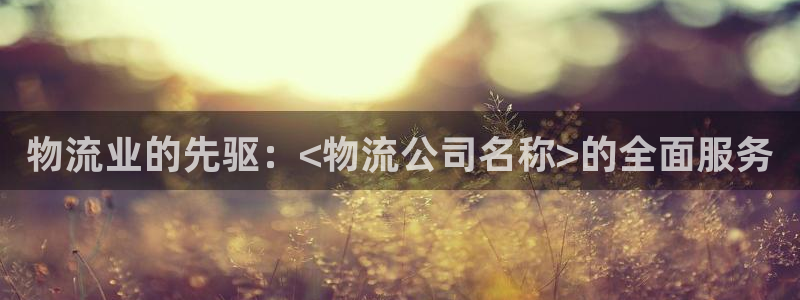 28圈网赌案件：物流业的先驱：<物流