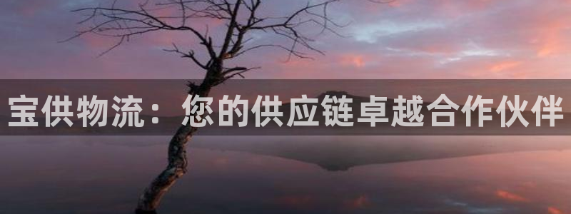 28圈官网开奖结果预测