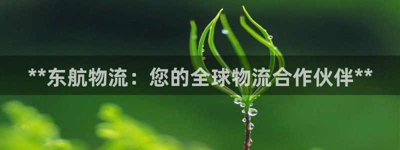 28圈下载体育