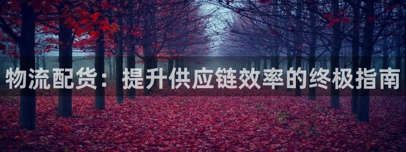 28圈加拿大下载