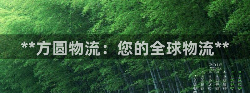 28圈如何看计划