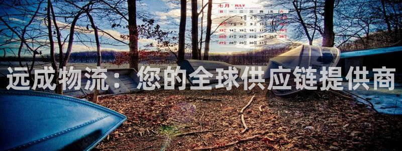28圈官方网站预测