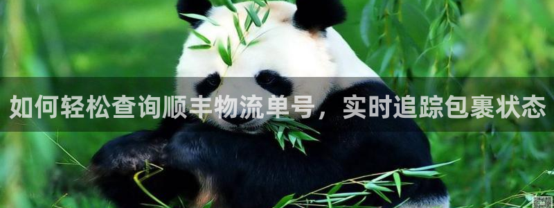28圈娱乐官网网页下载：如何轻松查询