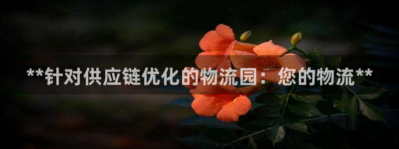 28圈那个才是充值账号