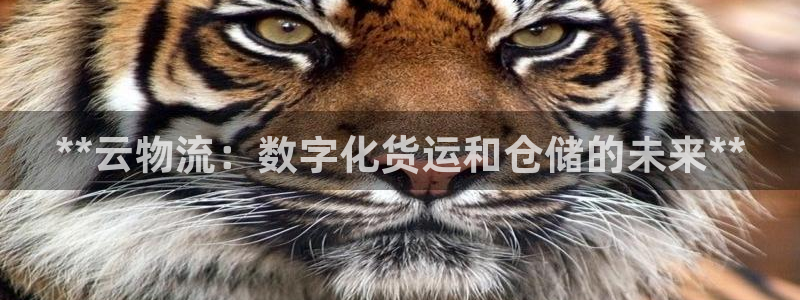 28圈昵称
